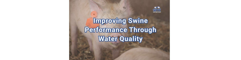 Improving Swine Performance Through Water Quality Case Study