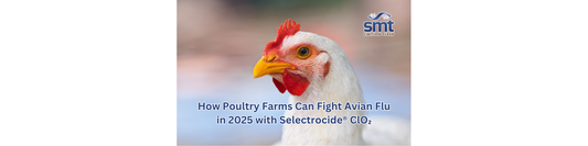 How Poultry Farms Can Fight Avian Flu in 2025 with Selectrocide® Chlorine Dioxide