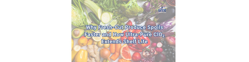 Why Fresh-Cut Produce Spoils Faster and How Ultra-Pure ClO₂ Extends Shelf Life