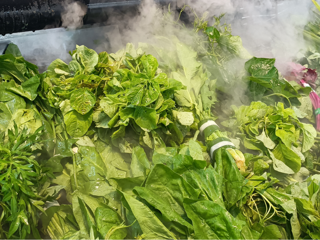 Produce wash system and food contact surfaces treated with Selectrocide chlorine dioxide