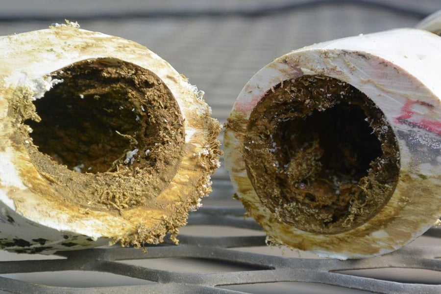 Clearing Algae and Biofilm from Irrigation Lines