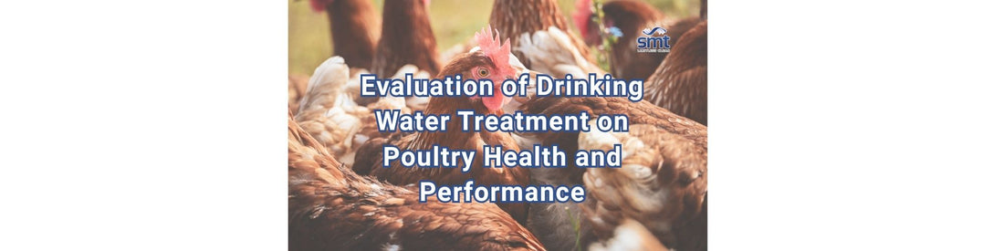 Evaluation of Drinking Water Treatment on Poultry Health and Performance