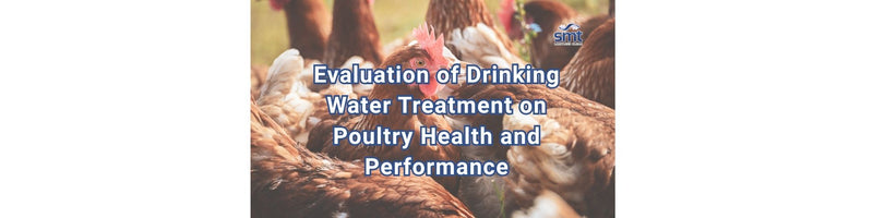Evaluation of Drinking Water Treatment on Poultry Health and Performance