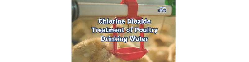 Chlorine Dioxide Treatment of Poultry Drinking Water