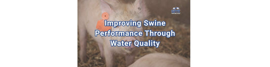Improving Swine Performance Through Water Quality Case Study