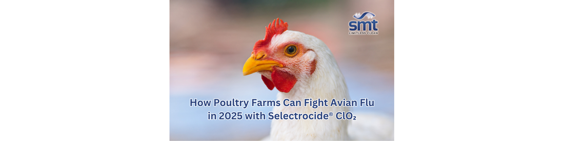 How Poultry Farms Can Fight Avian Flu in 2025 with Selectrocide® Chlorine Dioxide