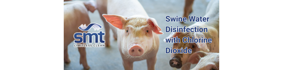 Swine Water Disinfection with Chlorine Dioxide: A Proven, Safe, and Sustainable Solution