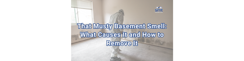 That Musty Basement Smell: What Causes It and How to Remove It