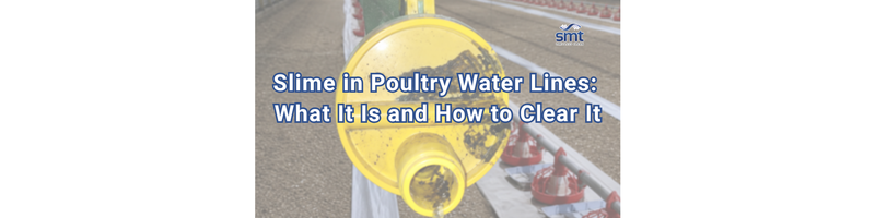 Dark biofilm buildup inside a yellow poultry drinker line regulator.