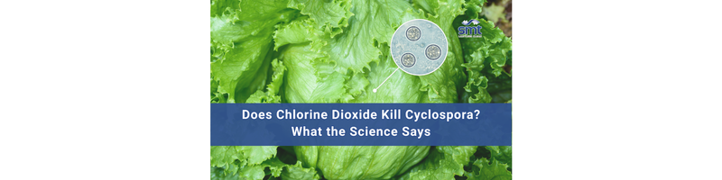 Fresh green lettuce with a magnified view of Cyclospora parasites and the title “Does Chlorine Dioxide Kill Cyclospora?”