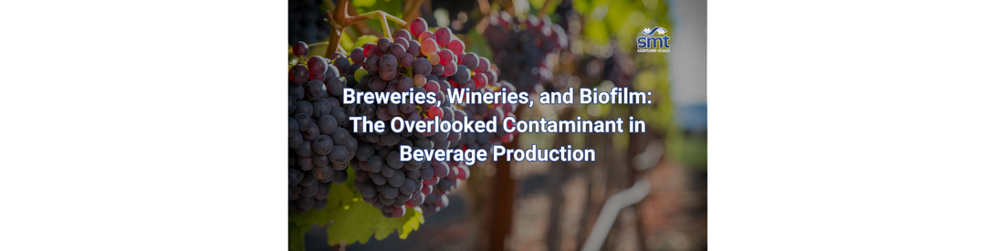 Breweries, Wineries, and Biofilm: The Overlooked Contaminant in Beverage Production