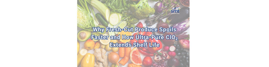 Why Fresh-Cut Produce Spoils Faster and How Ultra-Pure ClO₂ Extends Shelf Life