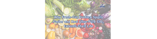 Why Fresh-Cut Produce Spoils Faster and How Ultra-Pure ClO₂ Extends Shelf Life