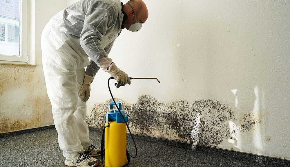 Eradicating Mold with Ultra-Pure Chlorine Dioxide: A Powerful Solution for Mold Remediation