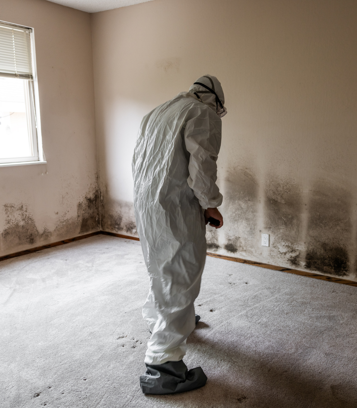 Technician in protective suit spraying moldy wall with chlorine dioxide for mold remediation.